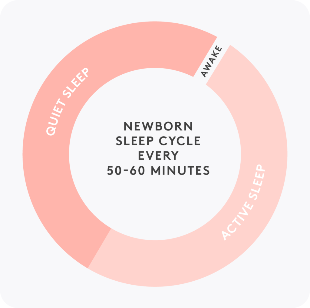 illustration of a newborn's sleep - active sleep to quiet sleep - occuring every 50-60 minutes